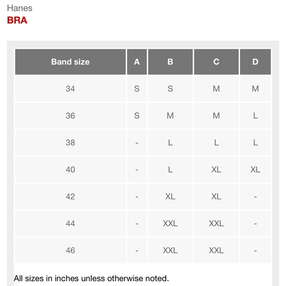 🌿 💕SOLD!! Hanes Women’s Xtemp Foam Wire free Bra •NWT - Picture 11 of 12